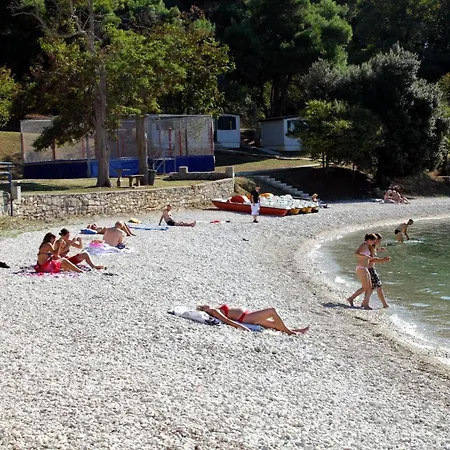 With Wifi - 19407 * Pula